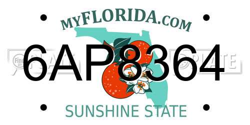 6AP8364 Florida License Plate