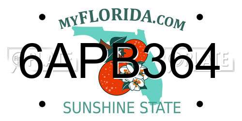 6APB364 Florida License Plate