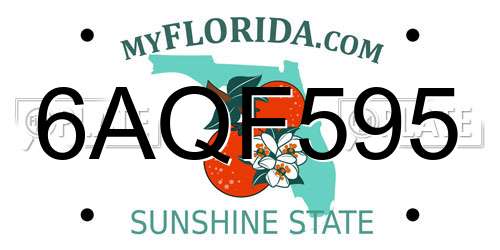 6AQF595 Florida License Plate