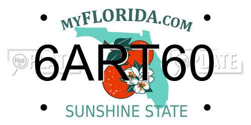 6ART60 Florida License Plate