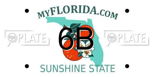 6B Florida License Plate