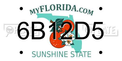 6B12D5 Florida License Plate
