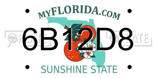 6B12D8 Florida License Plate