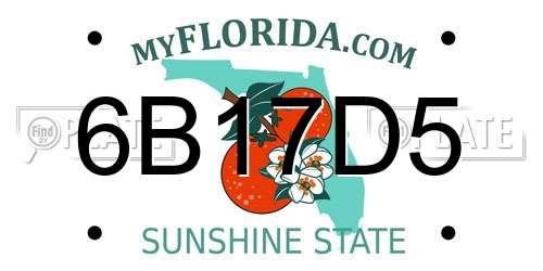 6B17D5 Florida License Plate