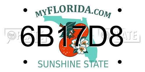 6B17D8 Florida License Plate