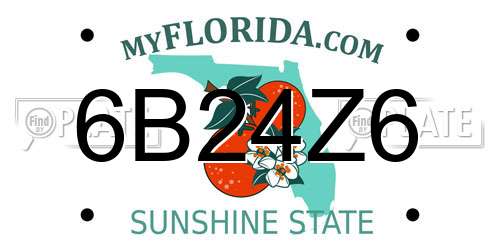 6B24Z6 Florida License Plate