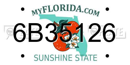 6B35126 Florida License Plate