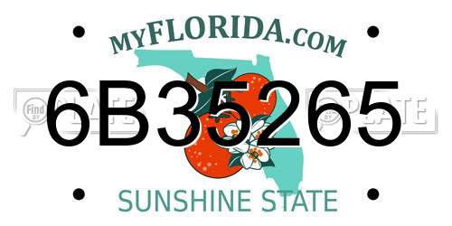 6B35265 Florida License Plate