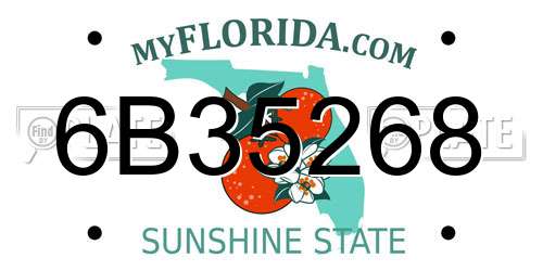 6B35268 Florida License Plate