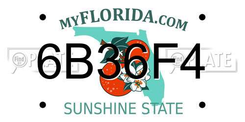 6B36F4 Florida License Plate