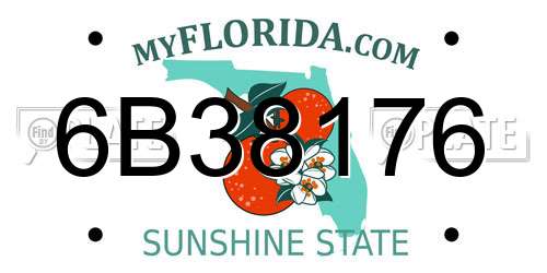 6B38176 Florida License Plate