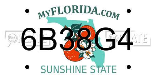 6B38G4 Florida License Plate