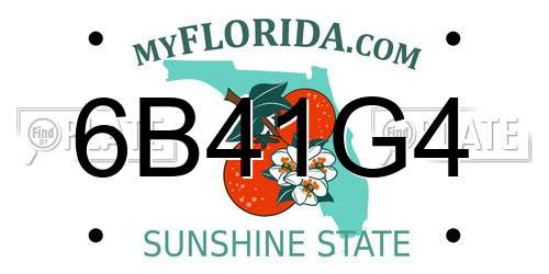 6B41G4 Florida License Plate