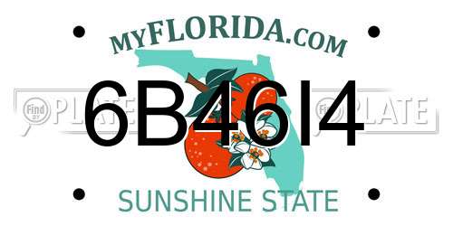 6B46I4 Florida License Plate