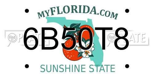 6B50T8 Florida License Plate