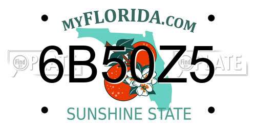 6B50Z5 Florida License Plate