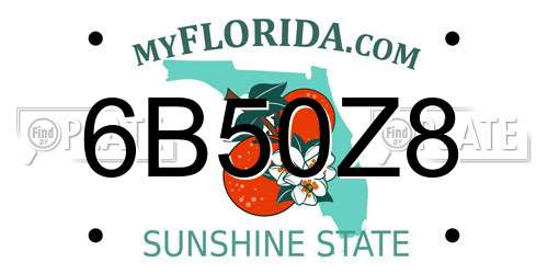6B50Z8 Florida License Plate