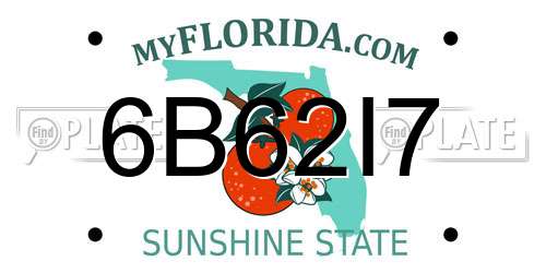 6B62I7 Florida License Plate
