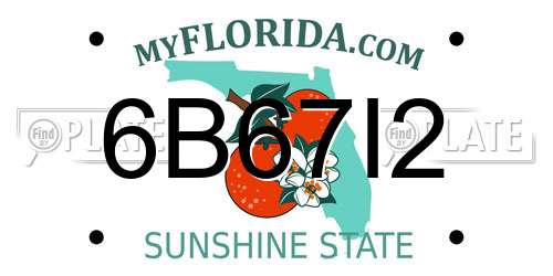 6B67I2 Florida License Plate
