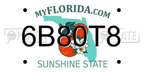 6B80T8 Florida License Plate