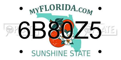 6B80Z5 Florida License Plate