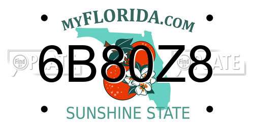 6B80Z8 Florida License Plate