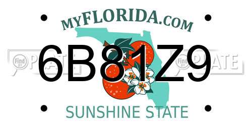 6B81Z9 Florida License Plate