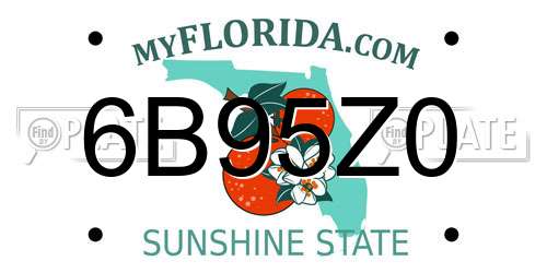 6B95Z0 Florida License Plate
