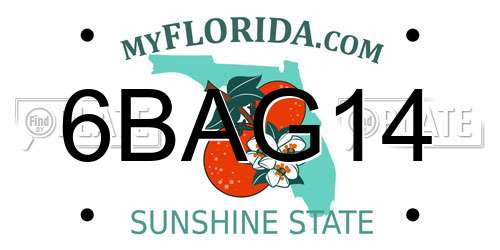 6BAG14 Florida License Plate