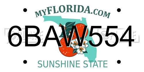 6BAW554 Florida License Plate