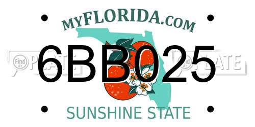 6BB025 Florida License Plate