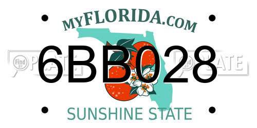 6BB028 Florida License Plate