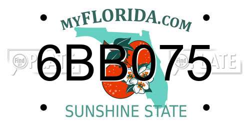 6BB075 Florida License Plate