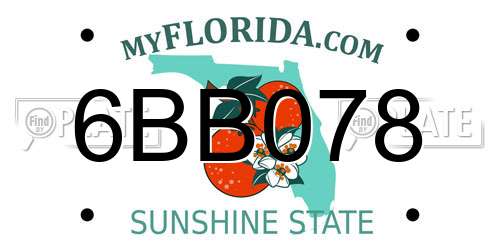 6BB078 Florida License Plate
