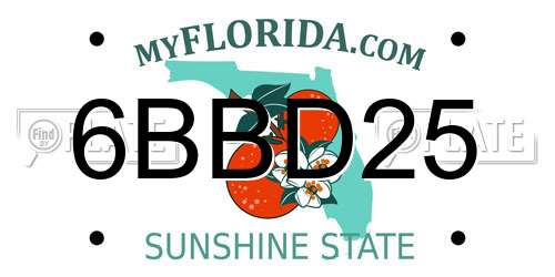 6BBD25 Florida License Plate