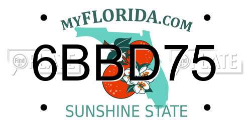 6BBD75 Florida License Plate