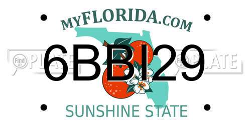 6BBI29 Florida License Plate