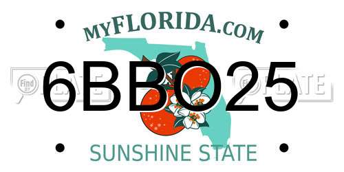 6BBO25 Florida License Plate