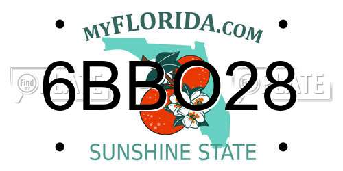 6BBO28 Florida License Plate