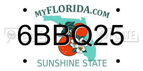 6BBQ25 Florida License Plate