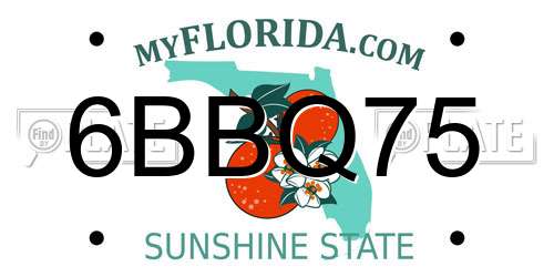 6BBQ75 Florida License Plate