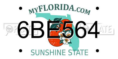 6BE564 Florida License Plate