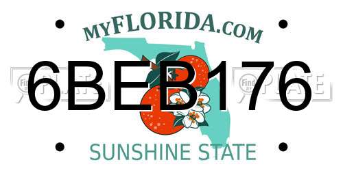 6BEB176 Florida License Plate