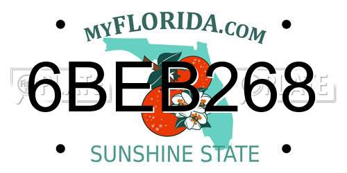 6BEB268 Florida License Plate