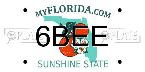 6BEE Florida License Plate