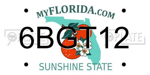 6BGT12 Florida License Plate