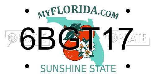 6BGT17 Florida License Plate