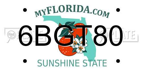 6BGT80 Florida License Plate