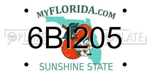 6BI205 Florida License Plate