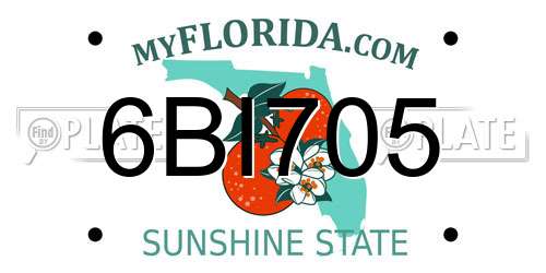 6BI705 Florida License Plate